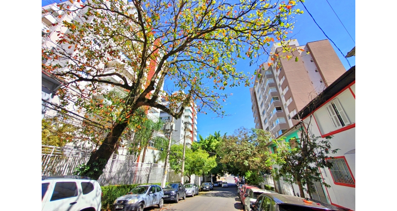 Sobrado à venda no Bairro da Vila Anglo Brasileira na Rua Professor Ciridião Buarque,