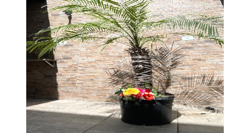 Sobrado à venda Rua Diamante do Norte, Jardim Pirituba - Imóveis à Venda