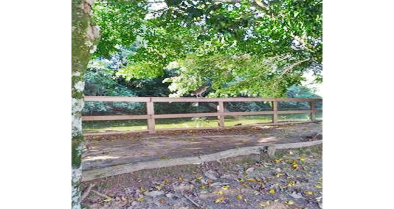 Terreno à venda Rua Octávio Vanini, Parque dos Príncipes - Imóveis à Venda