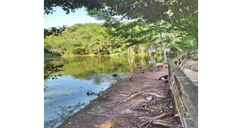 Terreno à venda Rua Octávio Vanini, Parque dos Príncipes - Imóveis à Venda