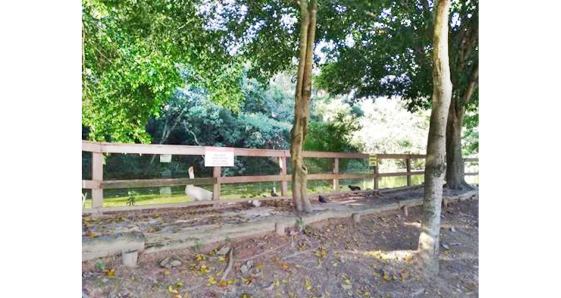 Terreno à venda Rua Octávio Vanini, Parque dos Príncipes - Imóveis à Venda