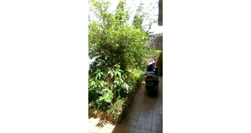 Casa à venda Rua Barra do Garça, Vila Piauí - Imóveis à Venda