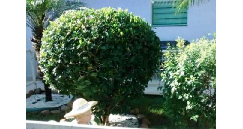 Sobrado à venda Rua Dinah Silveira de Queiroz, City América - Imóveis à Venda